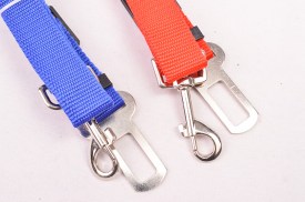 Correa corta mascota broche cinturon sueltas (1).jpg